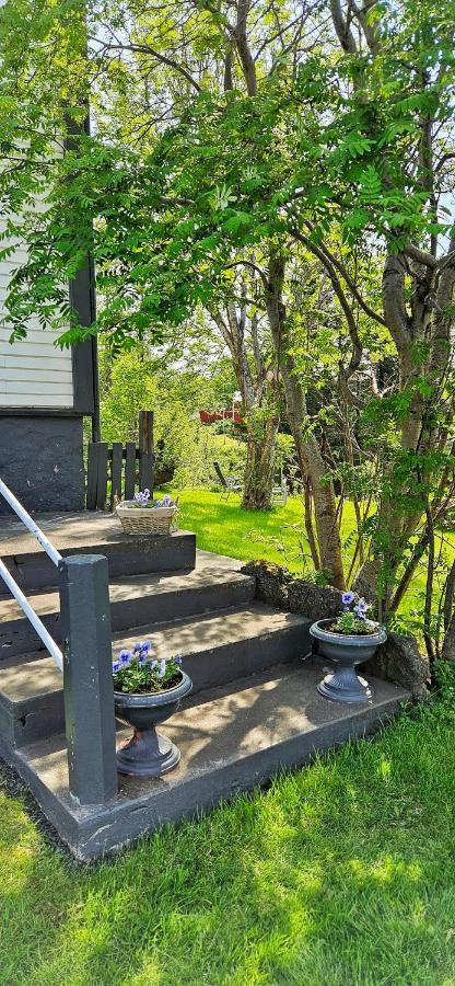Arbol Guesthouse Husavik Exterior photo
